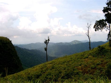 Kaeng Krachan National Park - BirdForum Opus | BirdForum