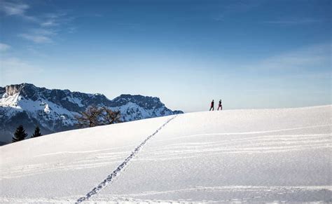 Winter Hiking & snow shoeing in Bavaria