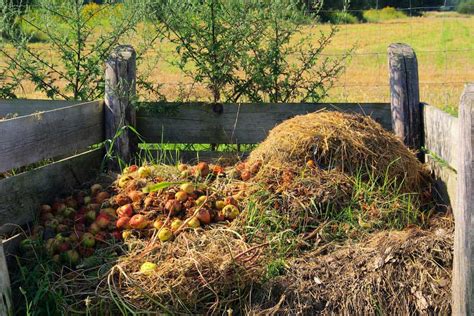 What To Put In A Compost Pile To Start It Going?