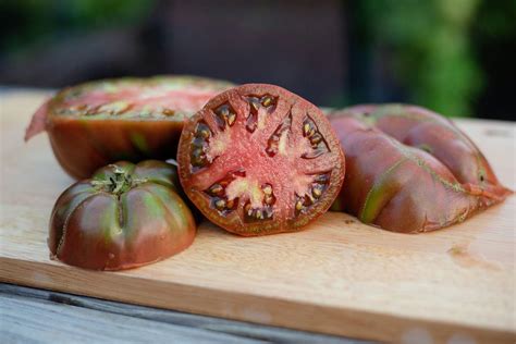 Best Bush and Vine Heirloom Tomato Varieties to Try This Season - Gardening Channel