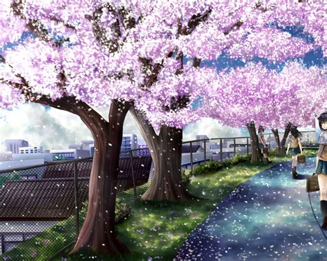 Ruta de Arboles de cerezo | Anime cherry blossom, Cherry blossom wallpaper, Anime scenery wallpaper