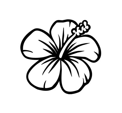 White hibiscus flower clipart - Clipground