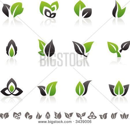 Green Design Elements Vector & Photo (Free Trial) | Bigstock