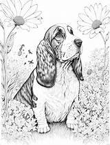 Basset Hound Adult Coloring Sheet AI Generated Page Of A  sketch template