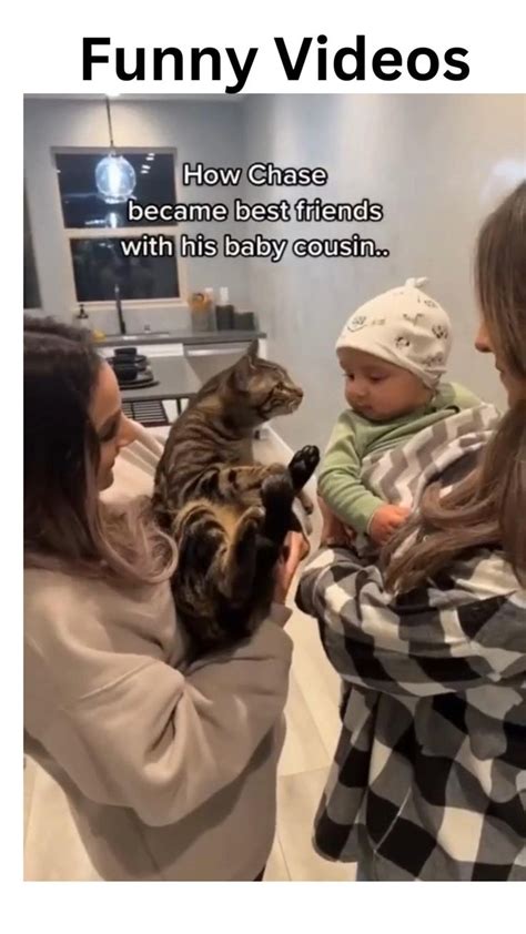 cute baby and cat | Funny animals, Cat memes, Baby memes