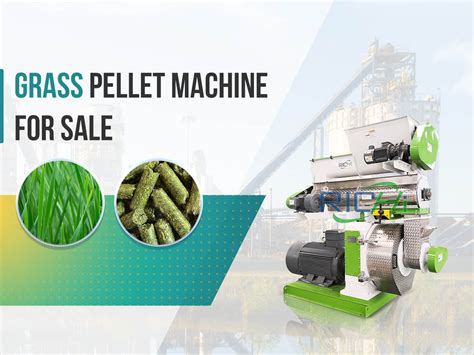 CE Verified 0.6-20T/H Dry Wet Grass Pellet Machine For Sale