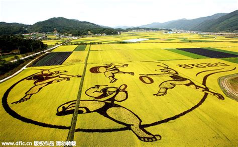 各国神奇稻田彩绘艺术_频道_凤凰网