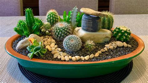 Cacti and Succulents Arrangement - YouTube