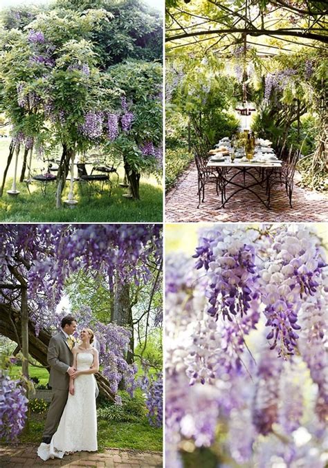 wisteria wedding | flowers | Pinterest