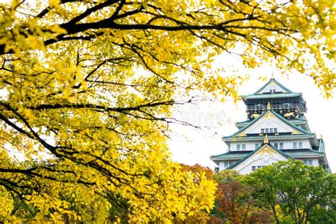 Osaka Castle with Autumn Season in Osaka, Japan. Stock Image - Image of ...