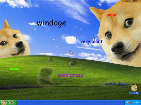 Doge