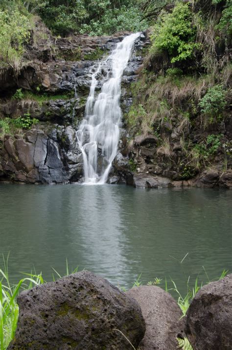 Haole Hiking: Waimea Falls "Hike"