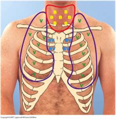 ReMar Review Blog: Lesson 28: Normal Lung Sounds