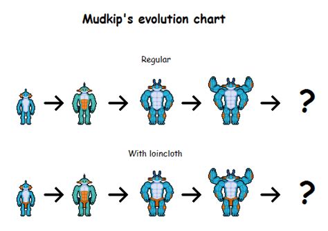 Mudkip's evolution chart by Effra-Bulbizarre on DeviantArt