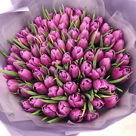 Purple Tulips Bouquet | Flower Shop