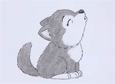 How To Draw a Wolf: 10 Easy Drawing Projects