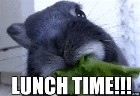 Lunch Time Gif - IceGif