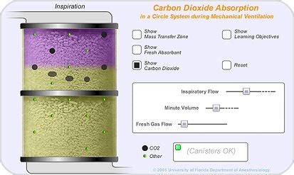 CO2 Absorber Simulation