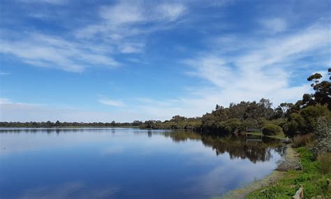 Bibra Lake Reserve | Birdingplaces