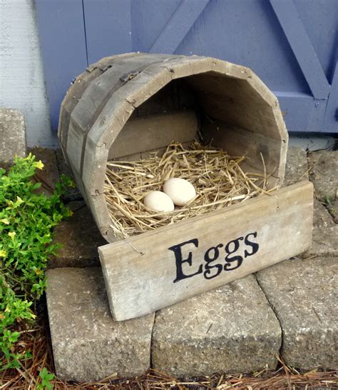 DIY Wine Barrel Chicken Nesting Box - Fresh Eggs Daily® with Lisa Steele