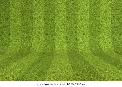 346 Cricket Ground Pitch Texture Royalty-Free Photos and Stock Images | Shutterstock