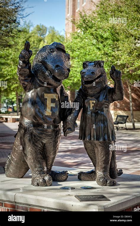 Gator mascots Albert and Alberta's bronze statues are a favorite local landmark for UF students ...