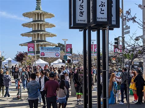 Cherry Blossom Festival 2024 Japantown Sf - Roby Sunshine