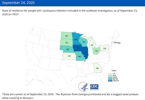 Bagged Salad Cyclospora Outbreak Ends With 701 Sick