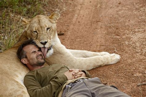 What Makes the "Lion Whisperer" Roar? | Kevin richardson, Cute animals, Animals beautiful