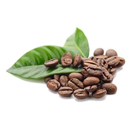 Coffee Beans PNG Transparent Images | PNG All