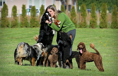 Welcome To Littleton Ranch Puppies