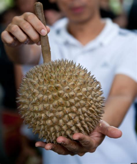 Strange Foods In Strange Lands | HuffPost