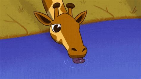 Funny Animals Giraffe GIF - Funny Animals Giraffe Crocodile - Discover ...