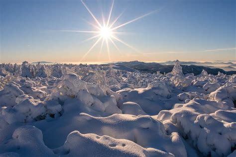 Winter Sun on Krizava Hill in Mala Fatra Near Martinske Hole Stock Image - Image of velka, pine ...