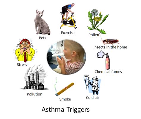 Asthma triggers: foods, allergies, drugs, flu, & exercise - Nigerian ...