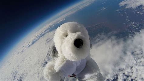 Stuffed Animal Makes Epic Journey to the Edge of Space in Amazing Video ...