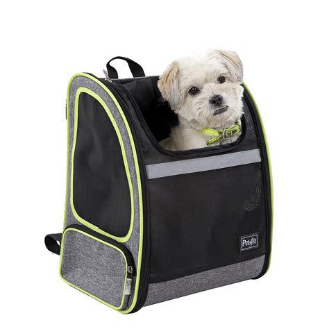 Dog Backpack Carrier | Paul Smith