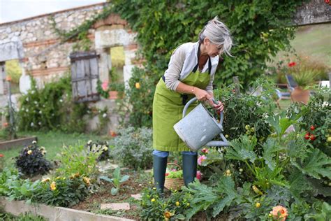 Everything You Need to Know About Eco-Friendly Gardening - Vila Menty