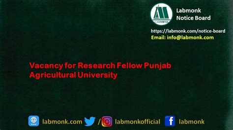 Vacancy for Research Fellow Punjab Agricultural University - Notice Board