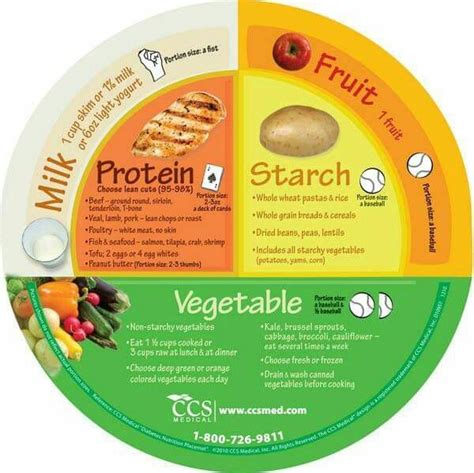 Plate portion diagram | Portion control diet, Proper portions, Portion ...