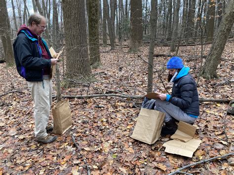 Healthy Soils have a Healthy Dose of Decomposition: Celebrating World ...