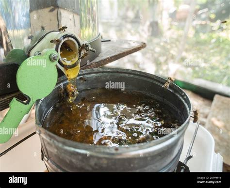 honey production and bees keeping - Beekeeping concept Stock Photo - Alamy