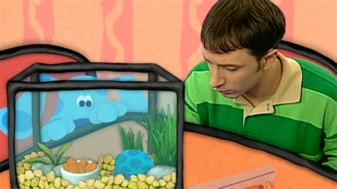 Watch Blue's Clues Season 3 Episode 18: Shy - Full show on Paramount Plus