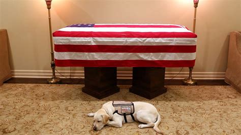 George H.W. Bush’s service dog, Sully, is honored: 'Mission complete ...