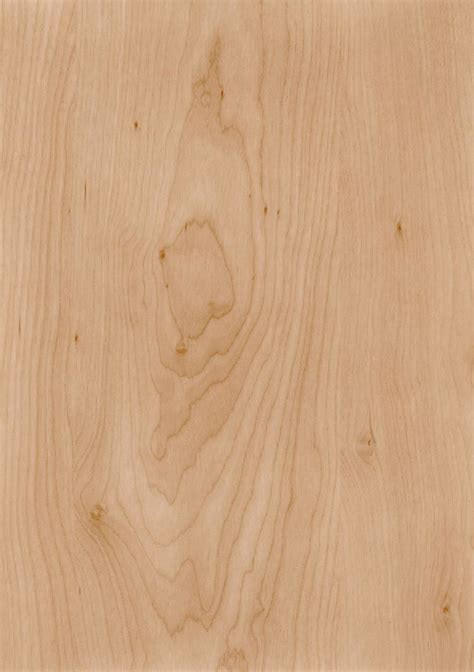 Birch Furniture - Sturdy and Attractive, Can last for years. | Furniture Refinishing Guide