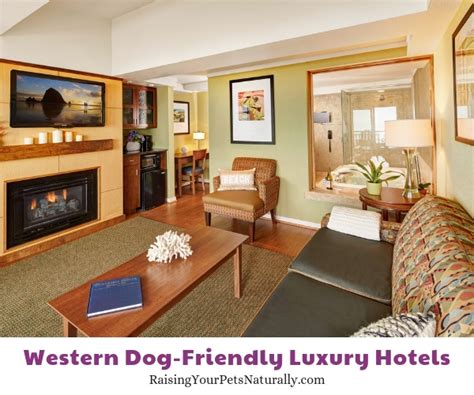 The Top Pet-Friendly Luxury Hotels, Resorts and Accommodations on the ...