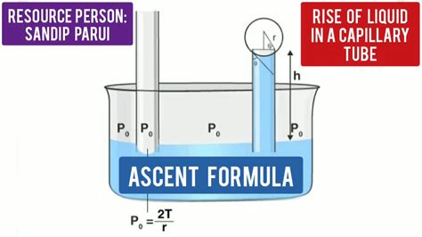 #Physicsforclass11 (Capillarity C2) - Ascent Formula (Rise of liquid in a capillary tube) - YouTube