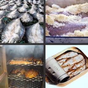 Different Methods of Fish Processing - Franchise, Business and Entrepreneur