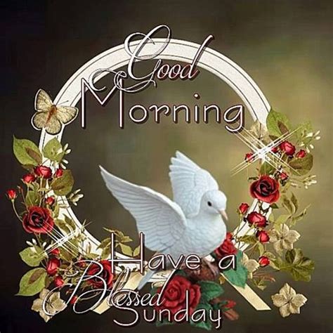 Have A Blessed Sunday ! - Good Morning Wishes & Images