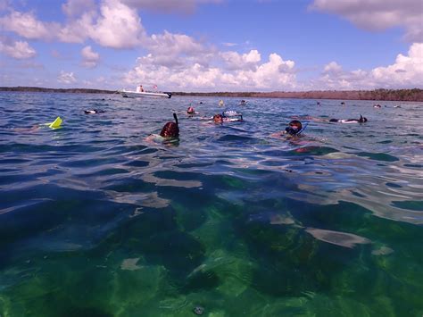 Snorkel a Coral Reef Video — MarineLab